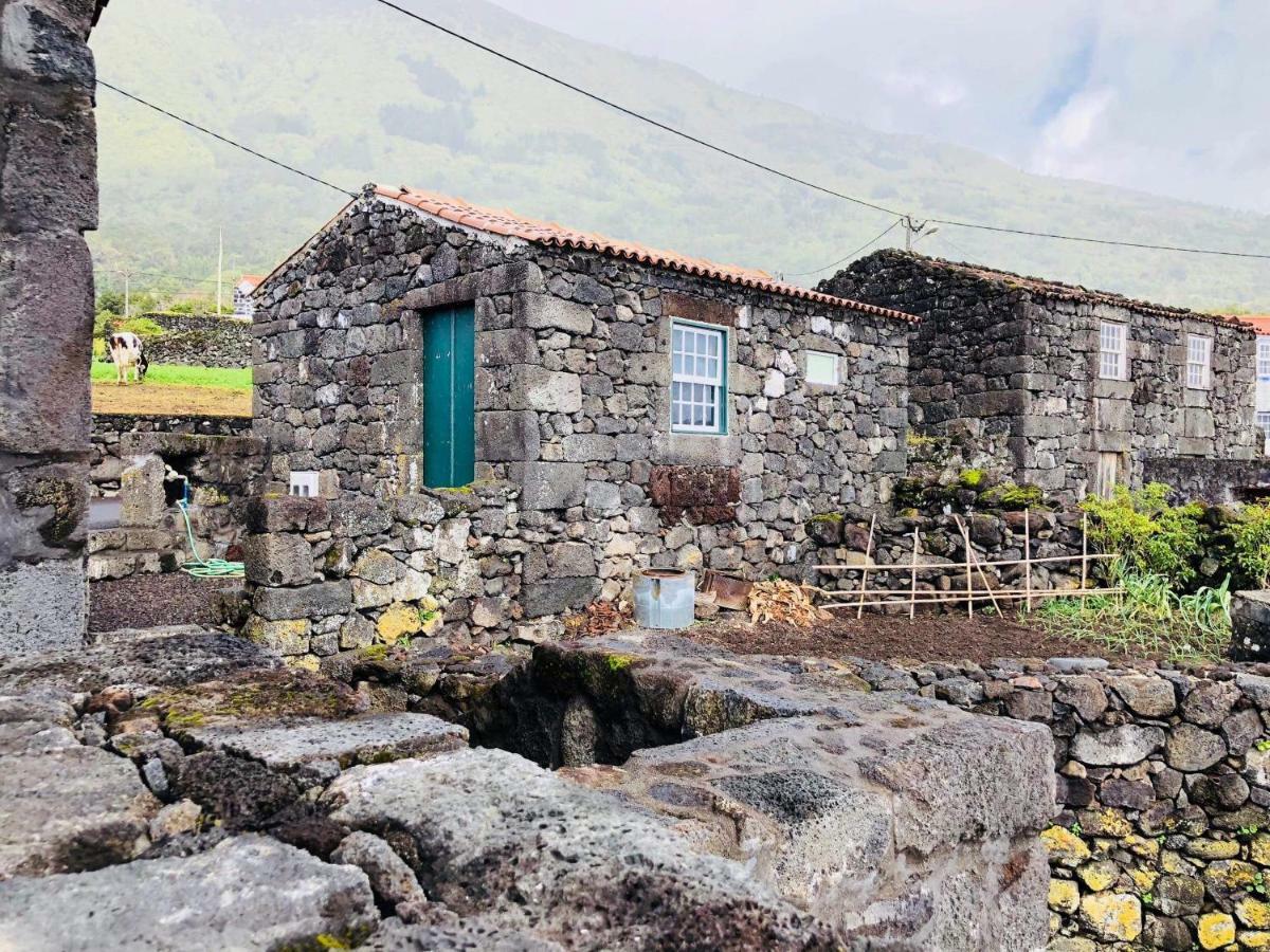 Casa Avo Amelia *